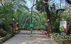 Free entry to Chandigarh Bird Park on 1st anniversary today