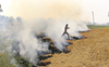 27 farm fires in 24 hours in Haryana