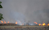 Stubble burning: 1K farmers fined, blacklisted in Ludhiana
