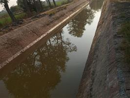 Low canal water supply amid wheat season perturbs farmers