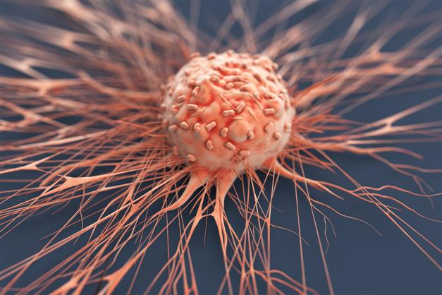 A novel immunotherapy could bolster cancer treatment: Study