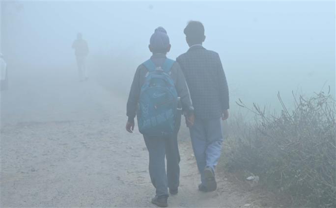 Punjab schools to function from 10 am due to fog; new timings to continue for a month