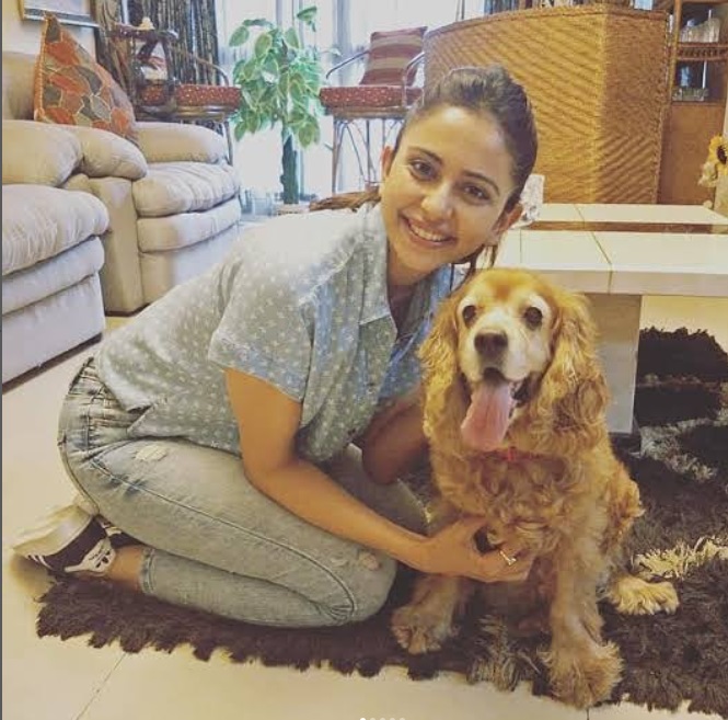 Rakul Preet Singh is heartbroken as her pet dog Blossom passes away : The  Tribune India