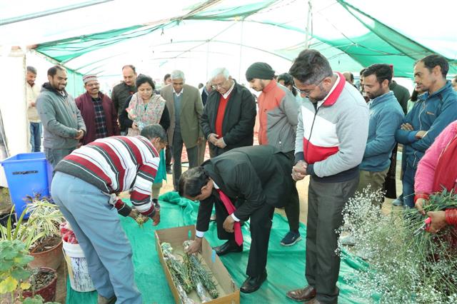 Palampur institute reviews floriculture mission in Dharamsala