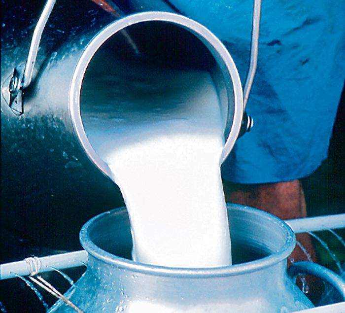 High Court notice to Haryana Health Department on spurious milk