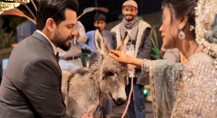 'Gadha hee kyun': Pakistani groom gifts bride 'donkey' on their wedding; don't miss her priceless reaction