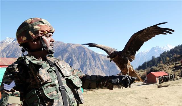 Indian Army trains kites & dogs to bring down enemy drones