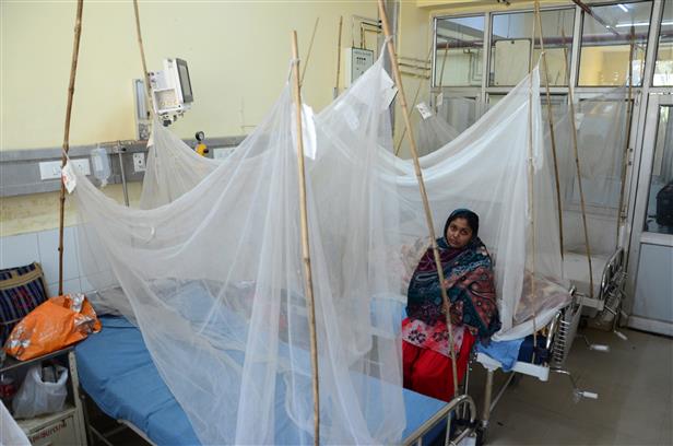 No confirmed swine flu case in 8 days, Ludhiana district still remains worst-hit