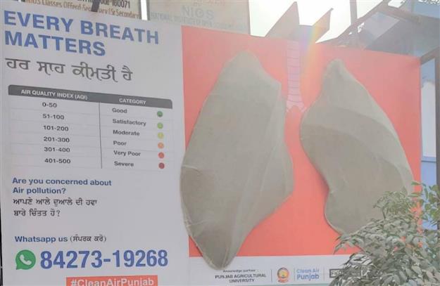 City's 'lungs' turn black in 9 days