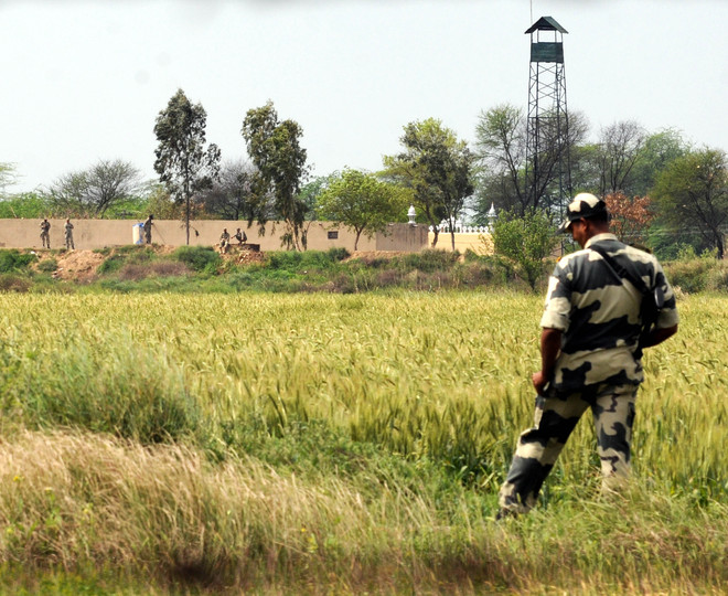Fazilka: BSF jawan inadvertently crosses over to Pakistan