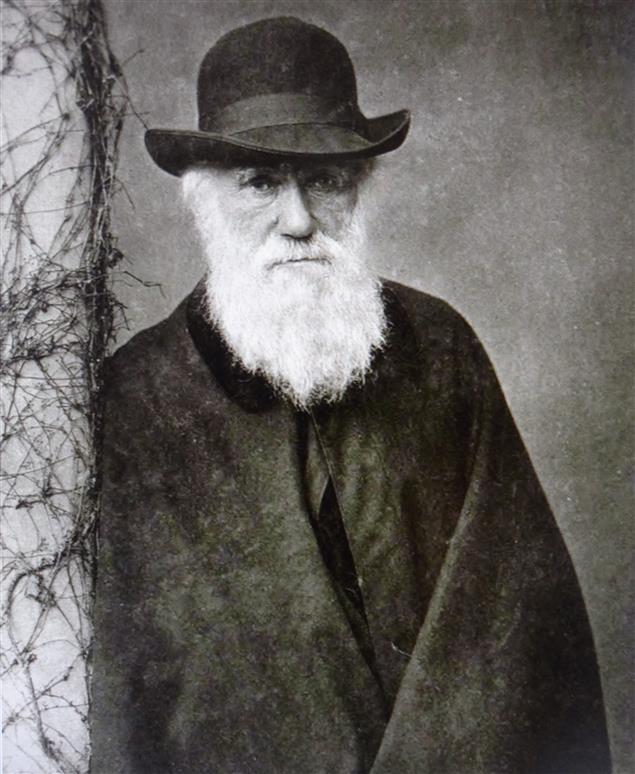 Darwin's extraordinary study of plants