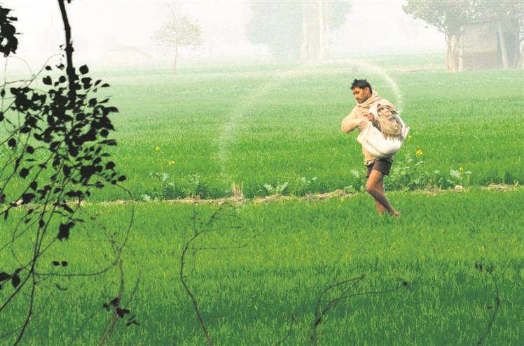 Hike in wage of farmhands mere Rs 51.62 in 5 yrs