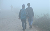 All Punjab schools to start at 10 am from tomorrow due to fog; timing to continue till January 21