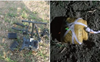 Drone, 2.5kg heroin recovered near India-Pakistan border in Punjab's Tarn Taran; fourth incident in 4 days