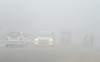 Dense fog at many places as intense cold conditions prevail in Punjab, Haryana