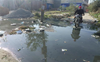 Waterlogged streets cause vector-borne diseases
