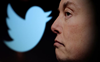 Elon Musk plans to restrict policy polls to Twitter Blue users