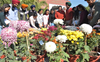Bhai Vir Singh flower show begins