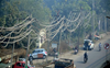 High-tension power wires too close for comfort near Pathankot Chowk