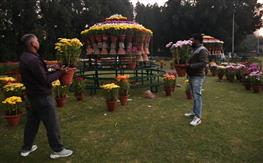 Chrysanthemum Show in Chandigarh to be plastic-free event