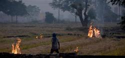 Punjab sees 30% dip in farm fires; encouraging trend, says expert