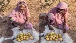 Watch: Madhya Pradesh cop buys off all guavas from elderly woman fruit-seller; his kind gesture melts hearts online