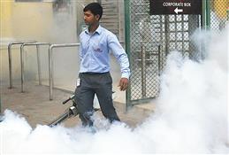 Patiala sees worst dengue outbreak in 4 years