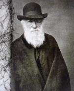 Darwin's extraordinary study of plants