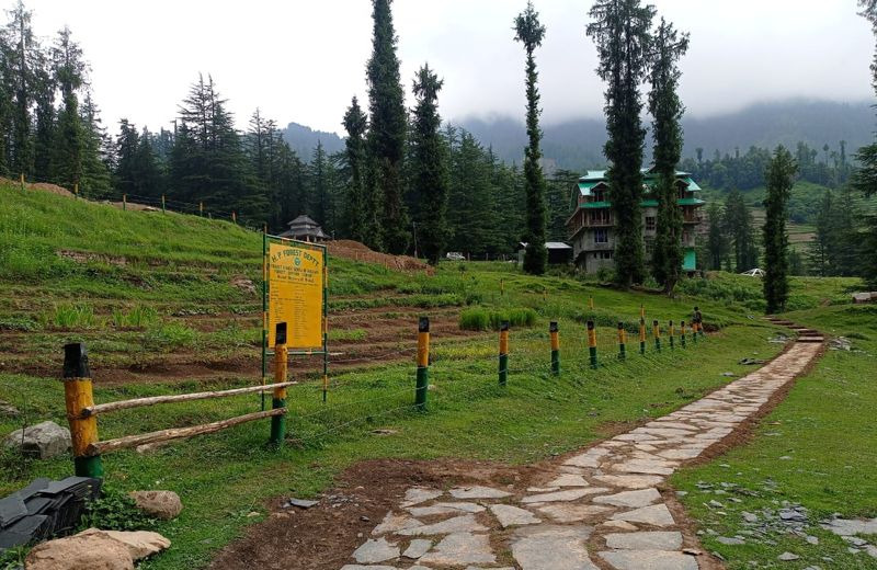Himachal's first biodiversity park to conserve endangered herbs