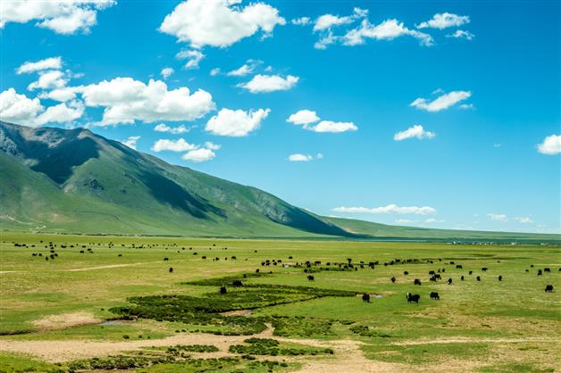 New study unravels how Tibetan Plateau rose to its soaring height to become ‘roof of the world’