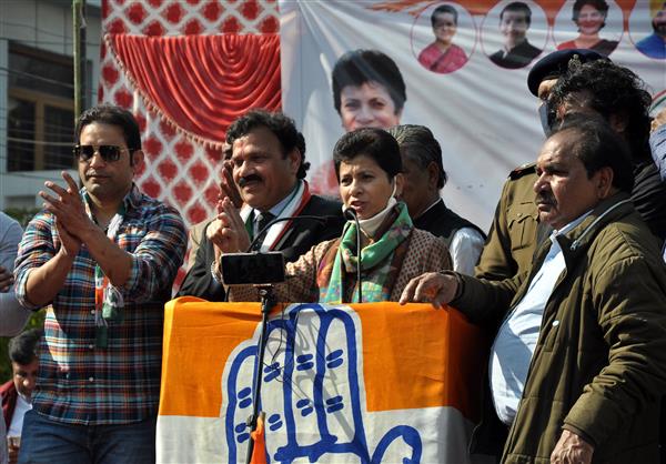 Haryana Cong chief Kumari Selja campaigns for Raj Kumar Verka in Amritsar West