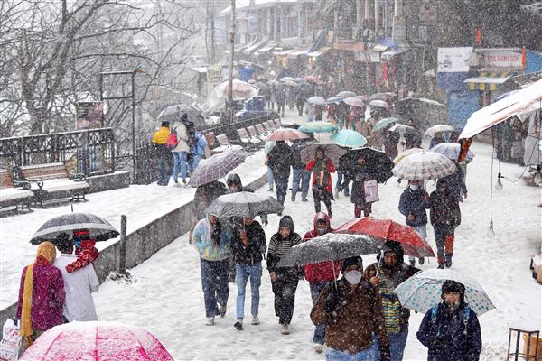 Rain over north India below normal in February, but showers expected this week