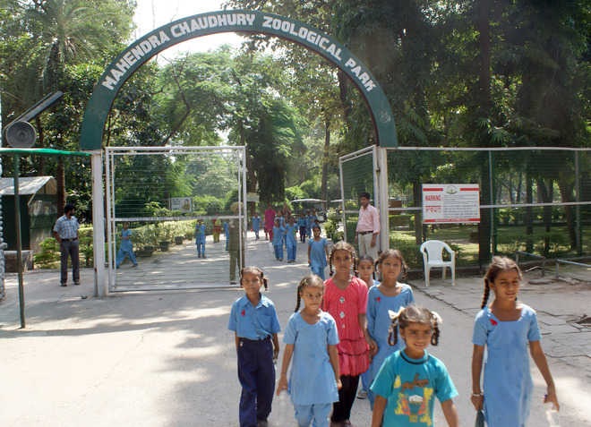 Chhatbir Zoo increases visitor capacity to 75% from Feb 27