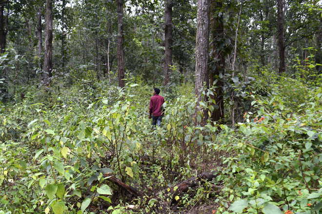 In search of husband, abducted engineer’s wife enters dreaded Chhattisgarh forest after appeal for release fails