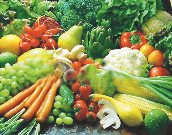 Farmers can get good returns from exotic fruits, veggies: PAU Expert