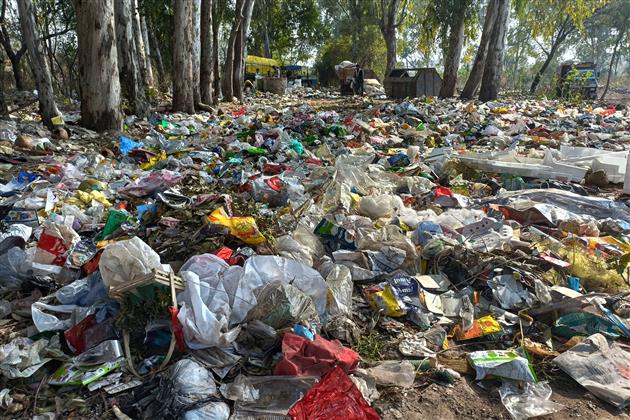Garbage dump raises stink in Sector 50-D, Chandigarh