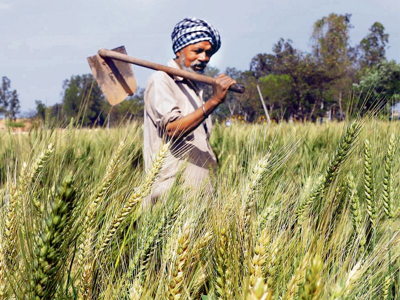 Union Budget lacks vision for growth: Farmers