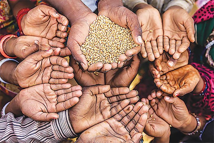 Eliminating hunger in a world of plenty