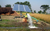 Solar pumps boost micro-irrigation in Haryana