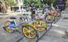 Chandigarh’s bicycle project catches parliamentary panel’s fancy