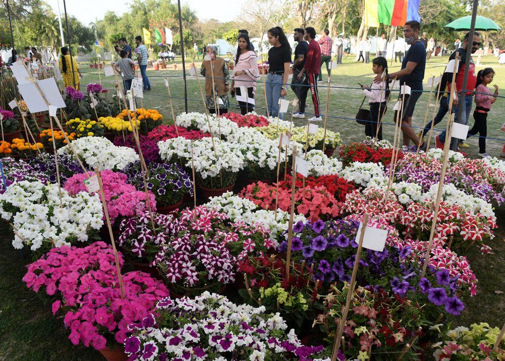 2-day spring fest begins in Panchkula