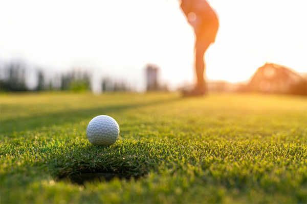 Golf contest for amateurs organised