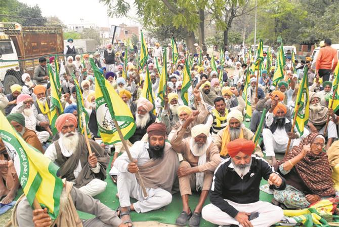 Punjab cotton farmers protest delay in aid