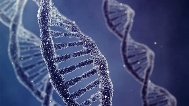 Webinar dwells on DNA fingerprinting