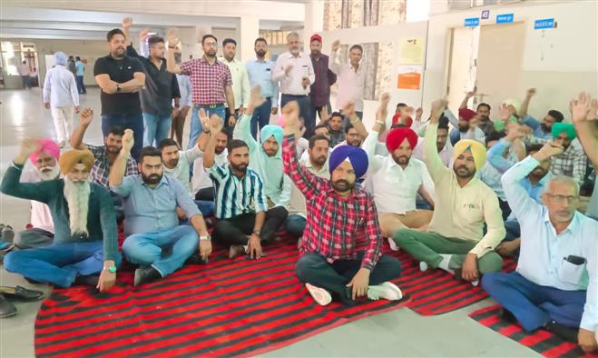 Day after revenue employees held captive in Lambi, staff go on strike across Punjab