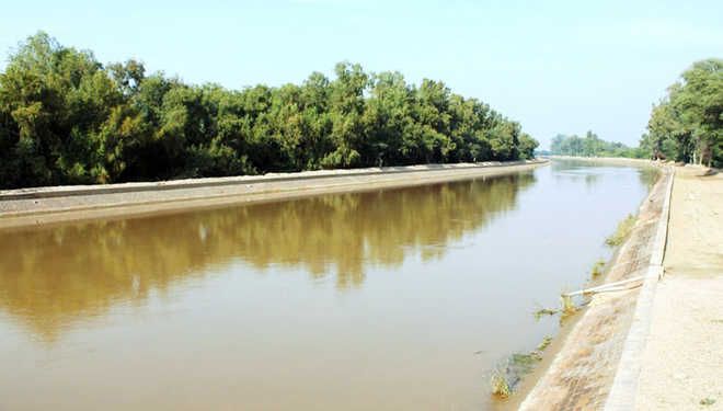 indira gandhi canal project