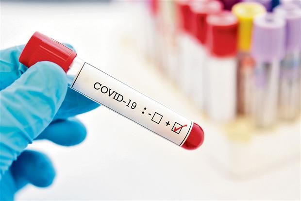 One dead, two test positive for Covid in Ludhiana district