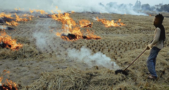 Hike in straw price may curb farm fires in Punjab