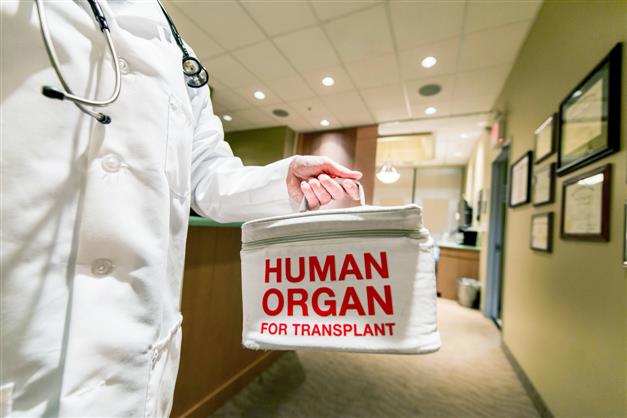 HP performs its first organ transplant, with help from PGIMER