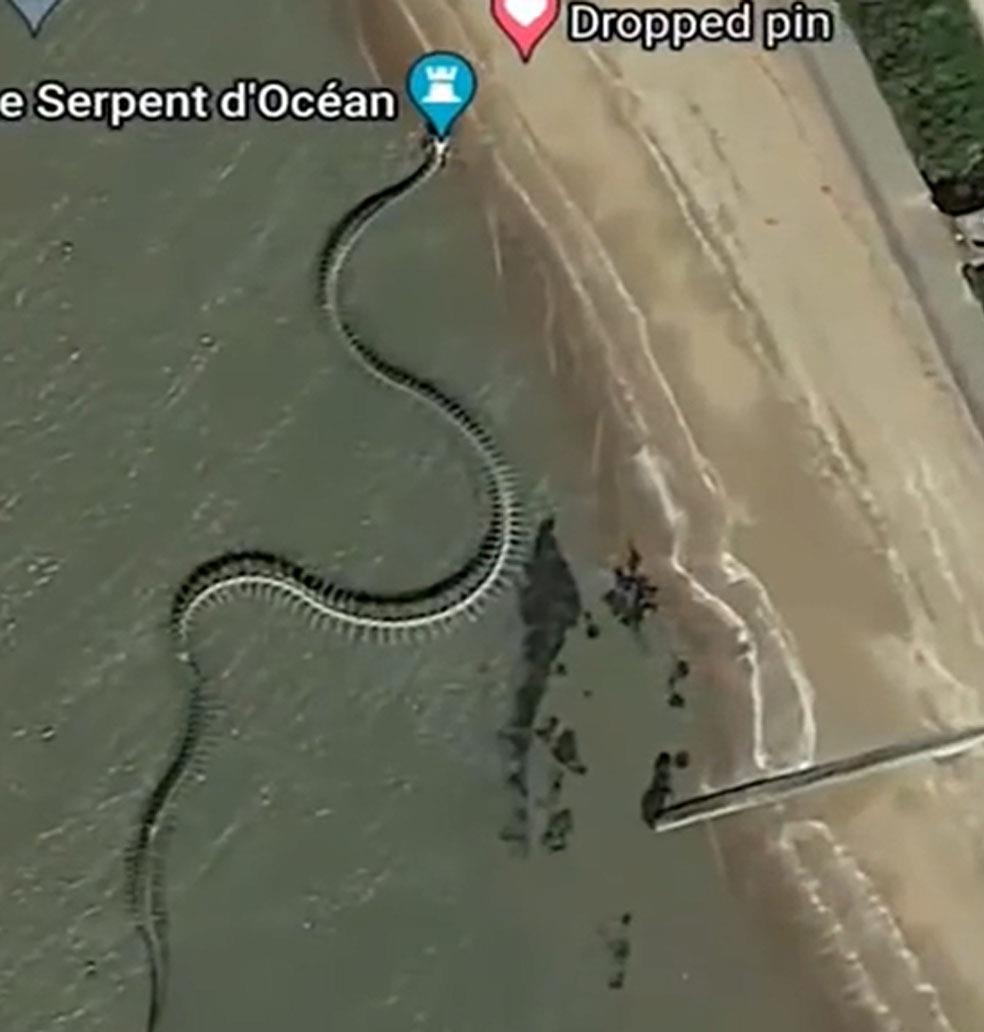 Know the truth behind 'giant snake skeleton' seen in France from satellite; watch viral video
